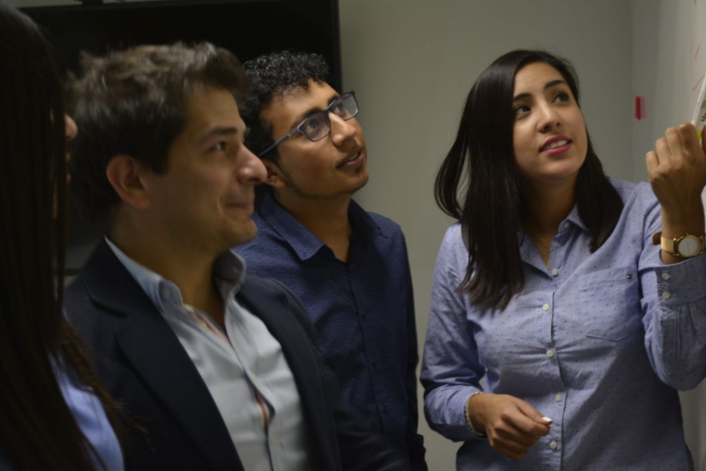 Daevo consultants collaborating during a project working session